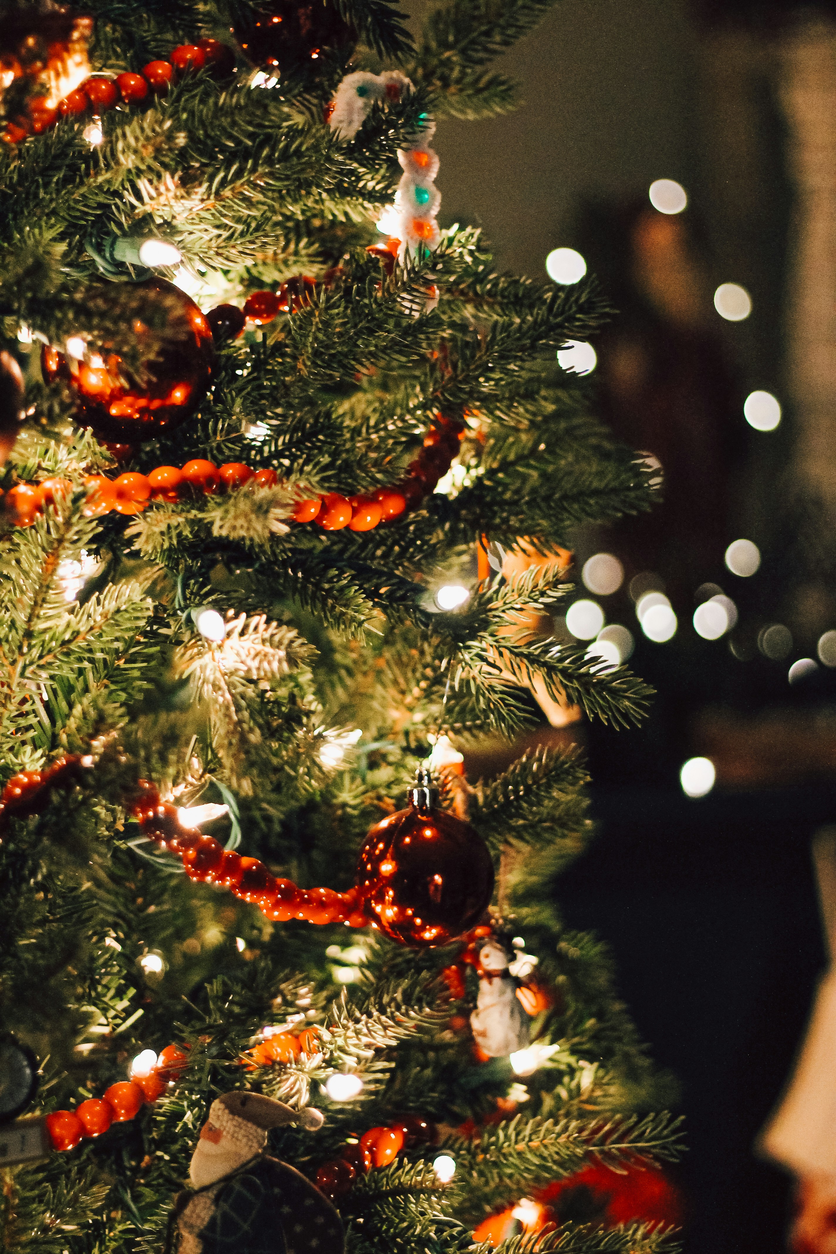 Photo by itsmaemedia