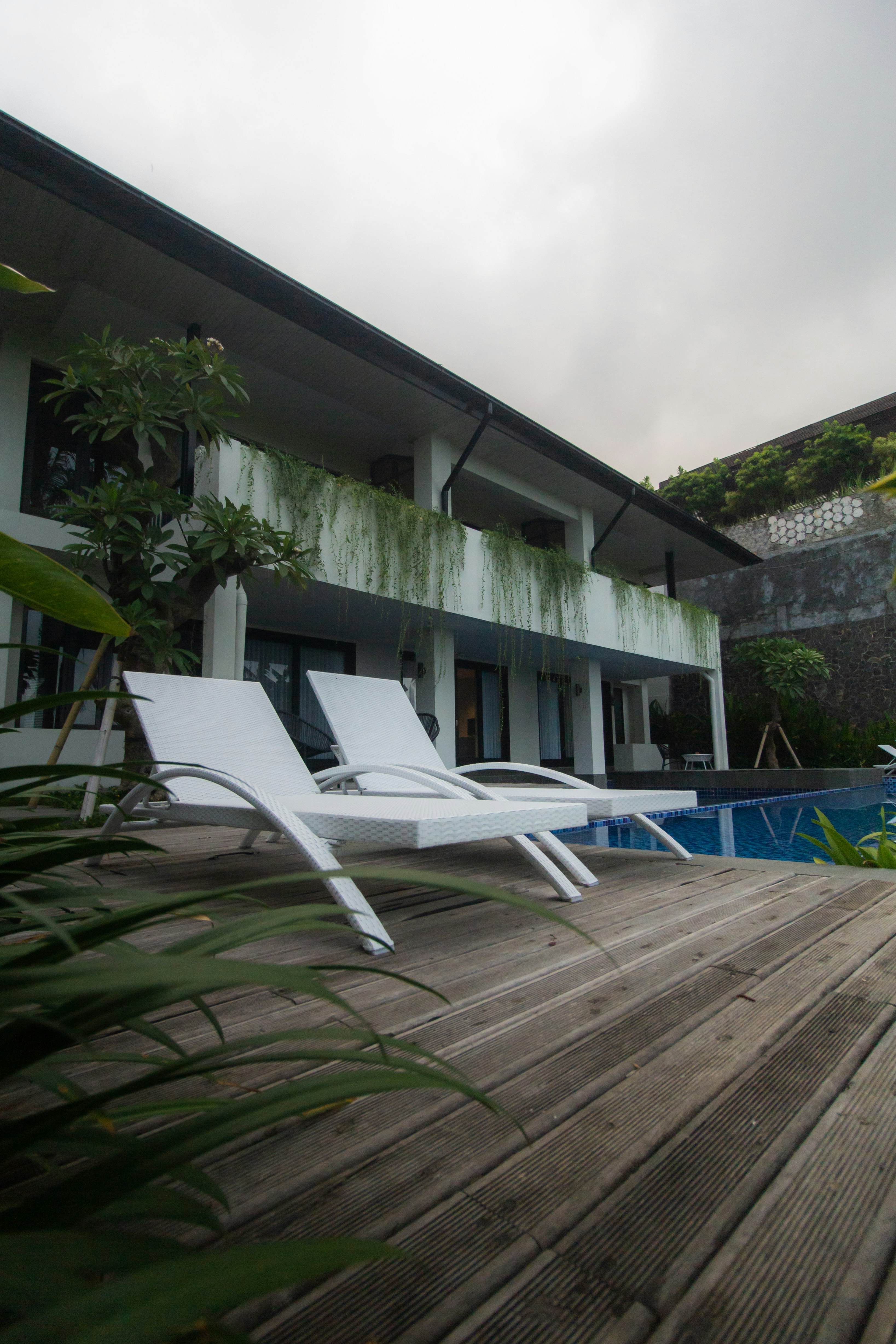 white outdoor lounge chairs near green palm tree during daytime