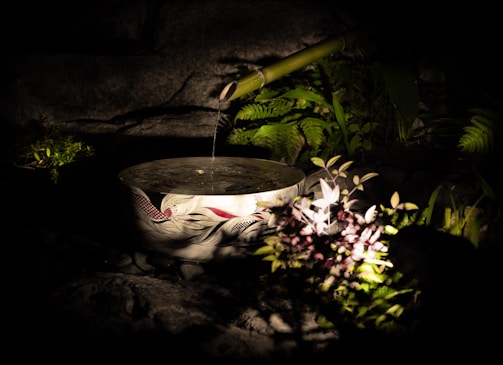 A tranquil water feature surrounded by smooth stones and lush greenery, reflecting the peaceful spirit of Japanese design.