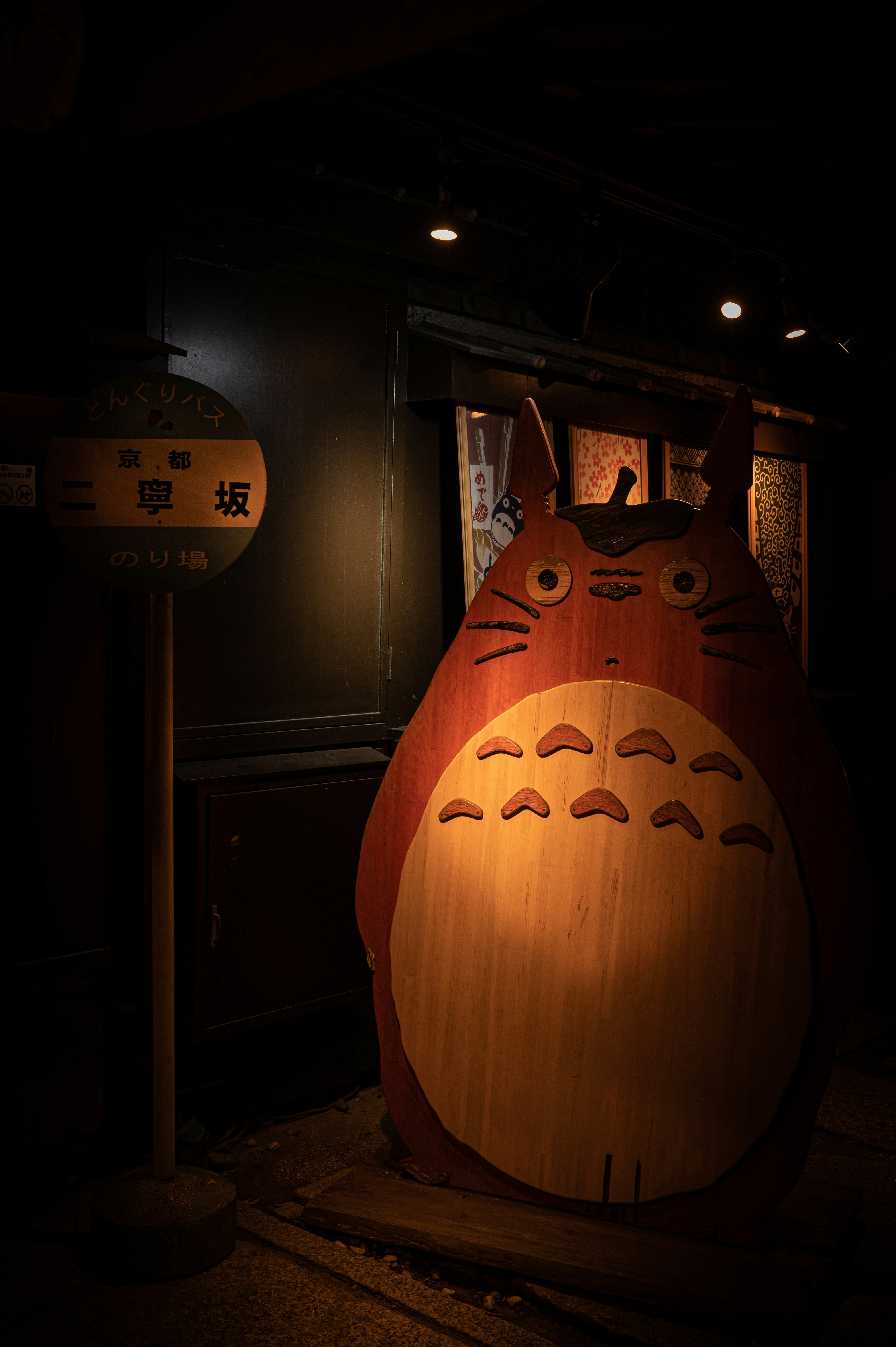 Totoro by night
