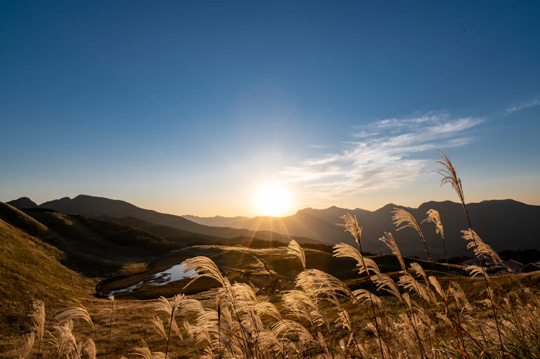 New Research Reveals What Mindfulness Does to Your Brain