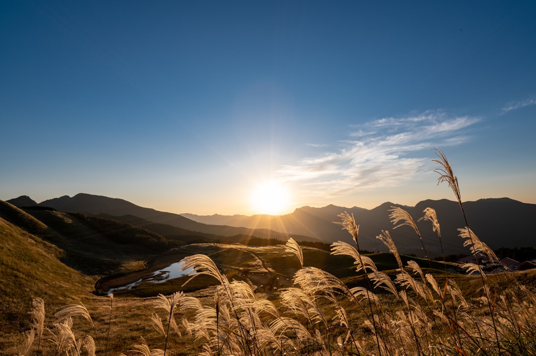 brown grass field near mountain during daytime