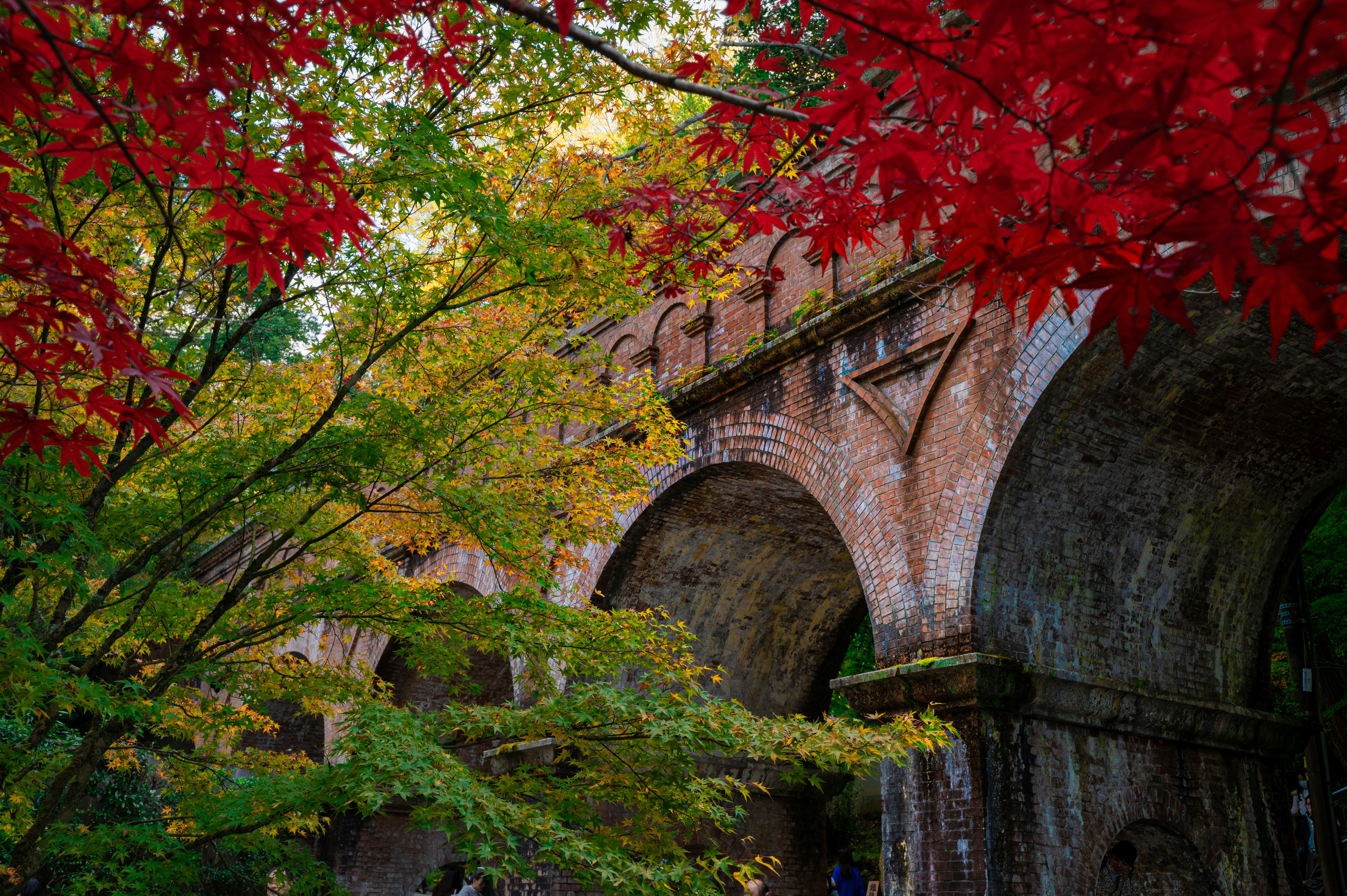 brown and green trees near brown concrete bridge