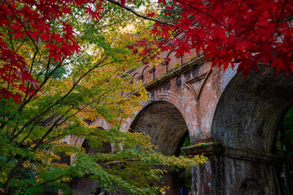 brown and green trees near brown concrete bridge