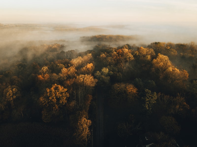 When Is the Ideal Booking Window for October Fall Foliage Flights