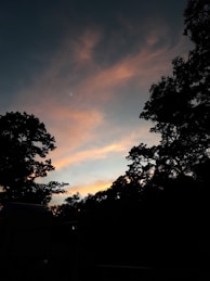 A celestial scene blending pink and purple hues with a silhouette of a wolf in the foreground