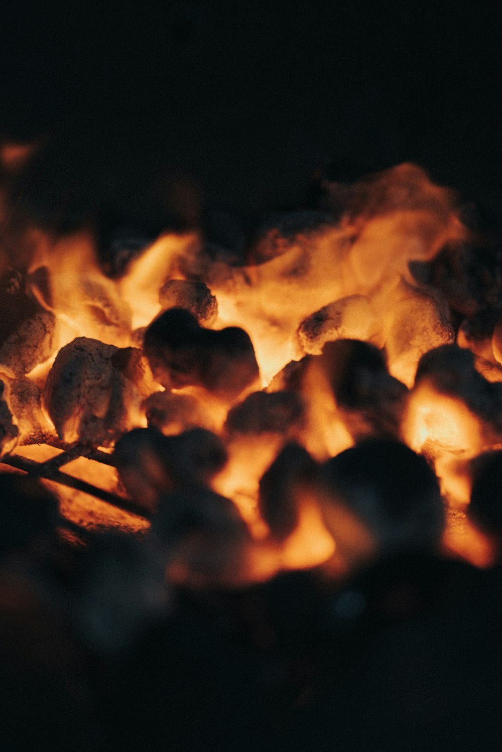 burning wood in fire pit