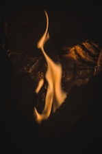 close up photo of fire