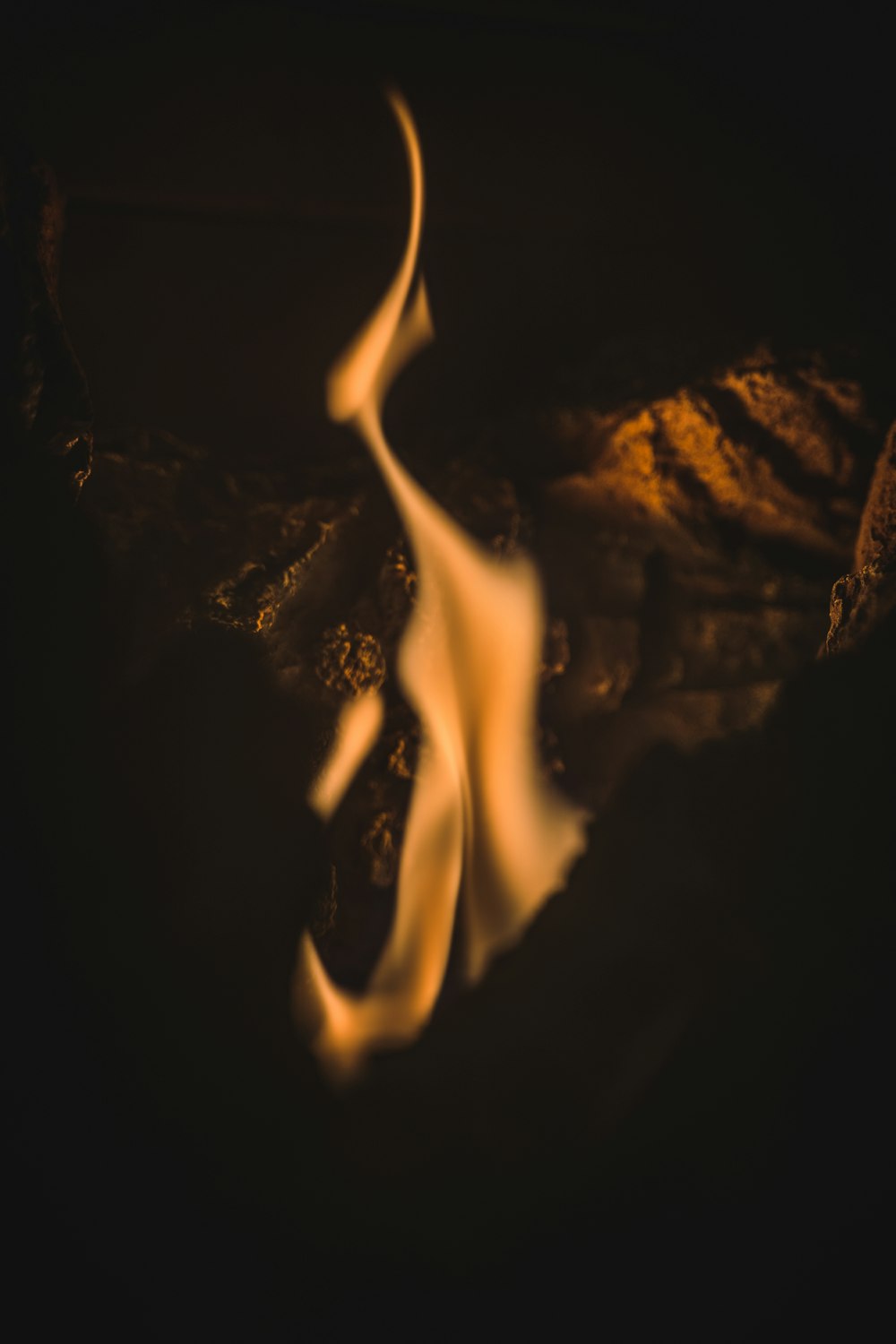 火の接写写真