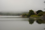 A serene 3D scene featuring a tranquil lake.
