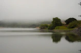 Participants meditating calmly beside a serene lake surrounded by lush greenery.