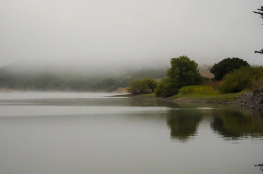 A serene lake at dawn surrounded by lush green forests reflecting calm and mental wellness.