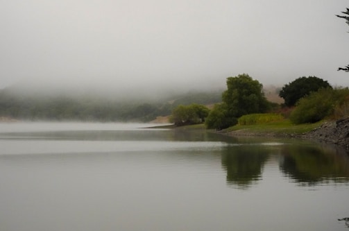 A serene 3D scene featuring a tranquil lake.