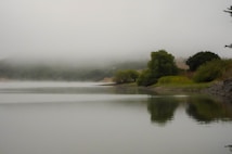 A serene lake scene with a calm water surface reflecting surrounding greenery and mist-covered hills. Lush trees line the shore, and the atmosphere is peaceful and tranquil.