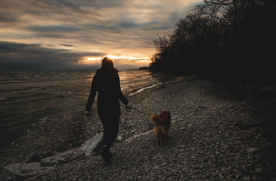 man in black jacket walking with brown dog on pathway during sunset