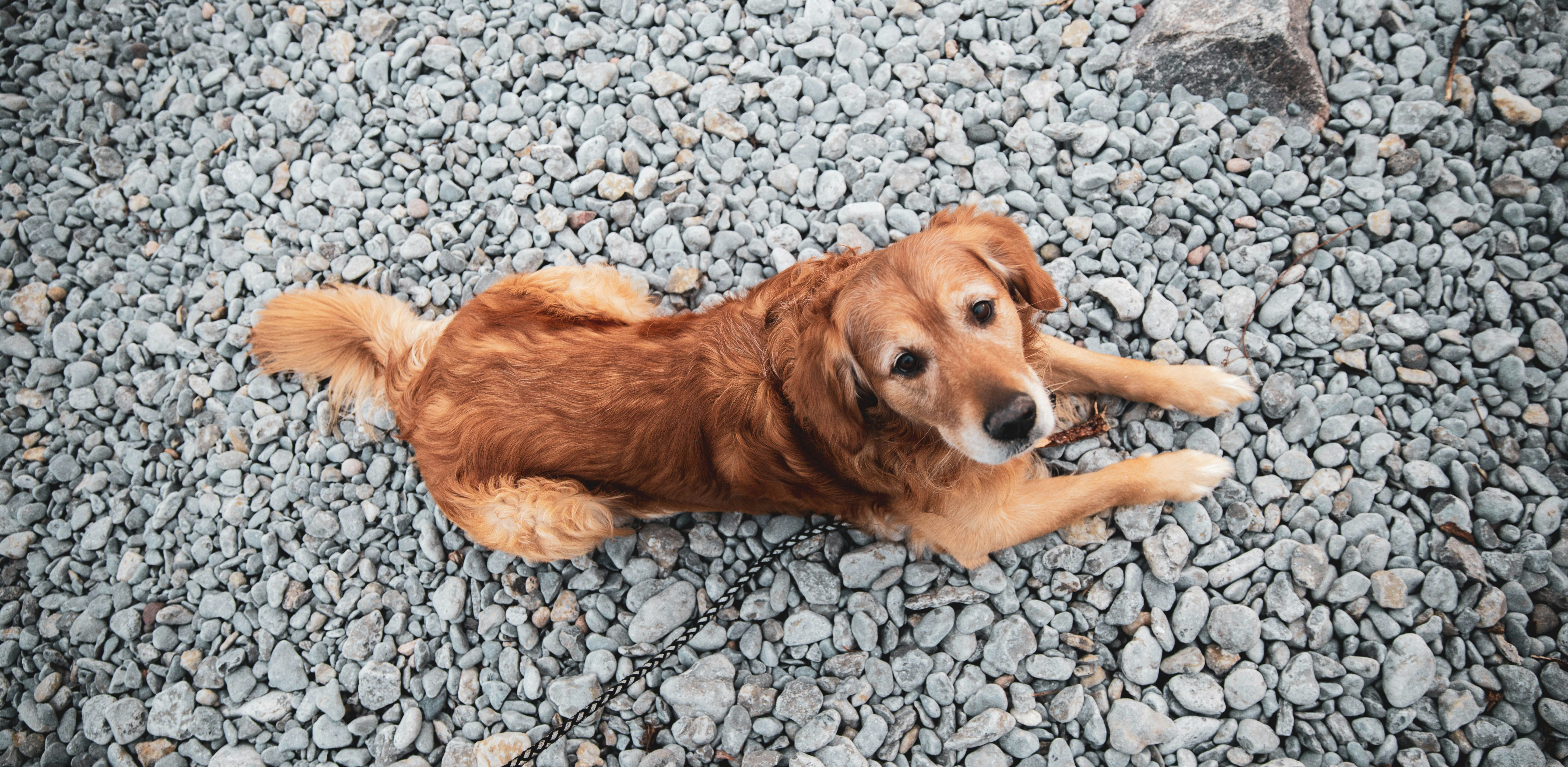 Photo by bradydrogers