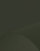 A minimalist portfolio page featuring large visuals and subtle text overlays.