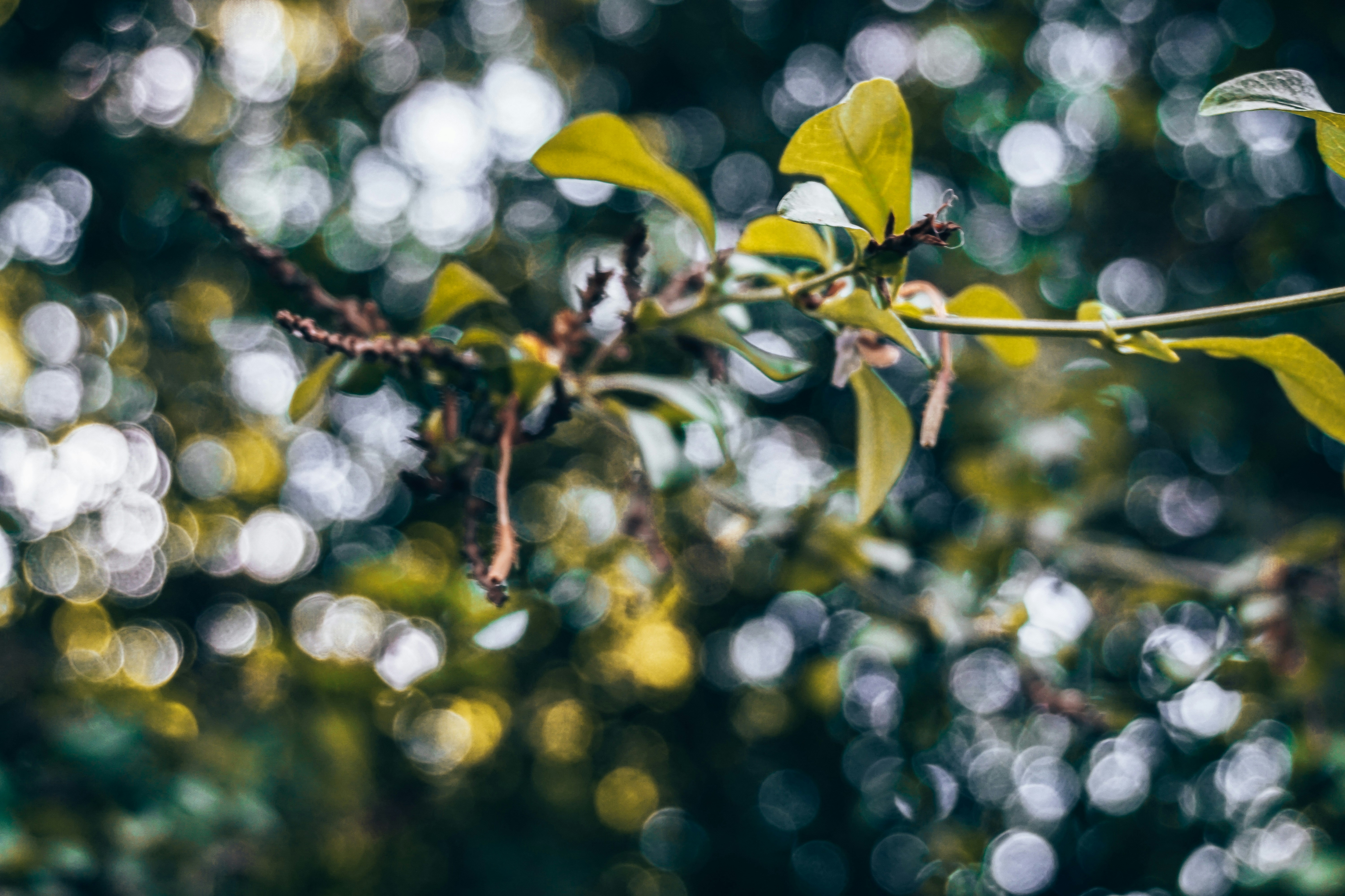 Photo by ximenaalvizouri