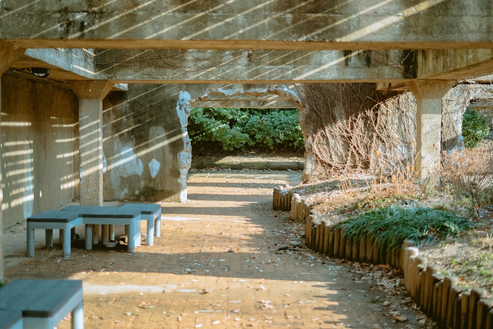 brown wooden bench near green trees during daytime