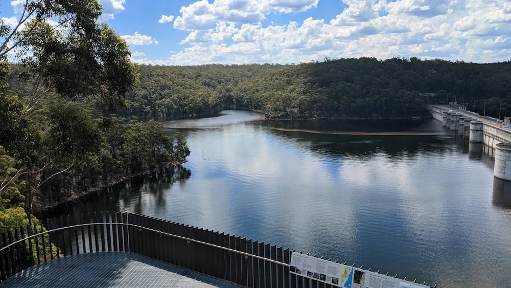 árboles verdes al lado del río bajo el cielo azul durante el día