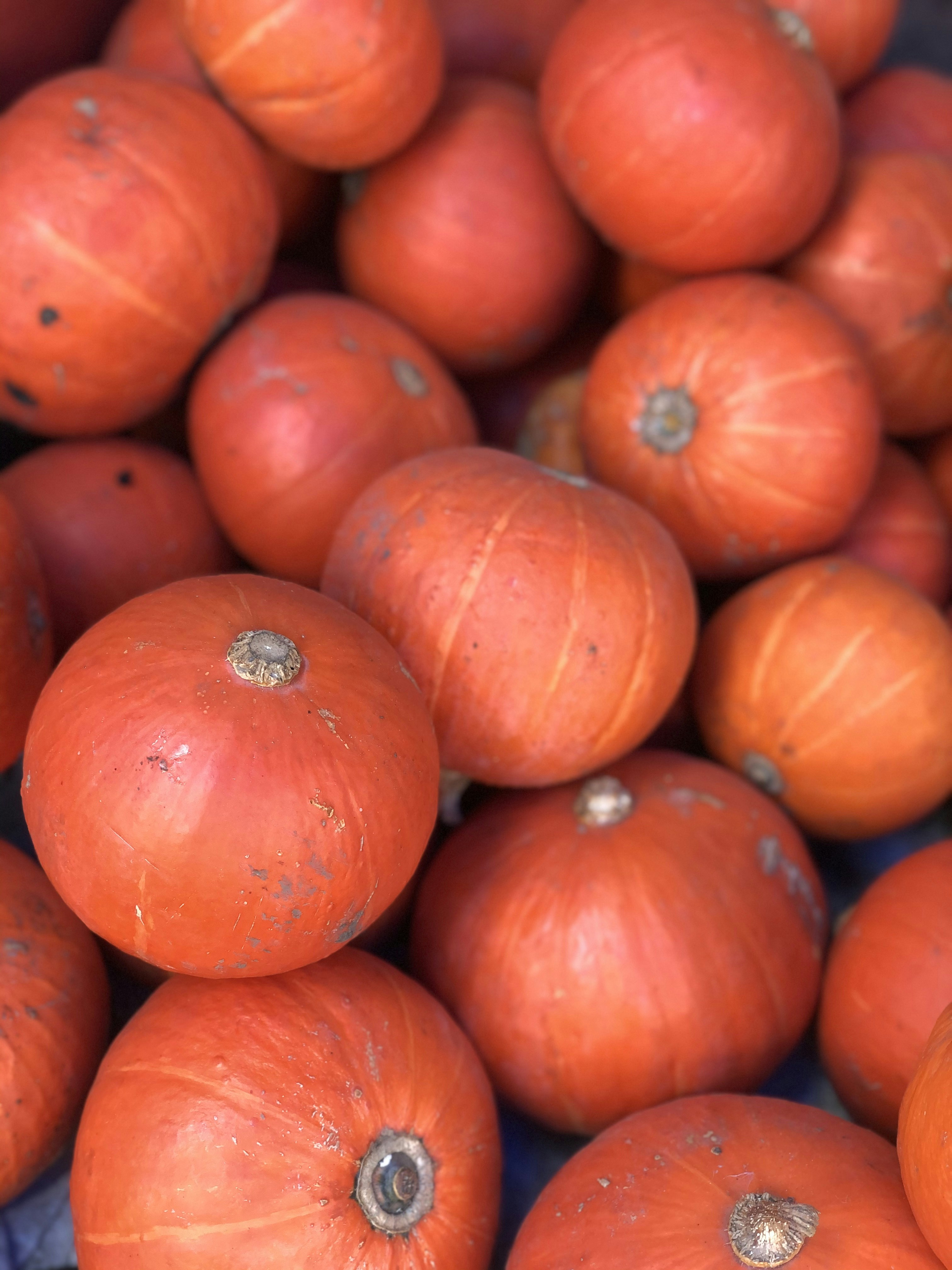 Photo by eroealaydrus