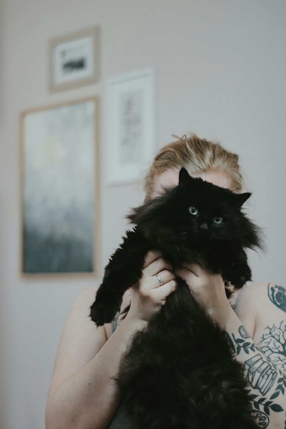 woman in pink shirt holding black long fur kitten