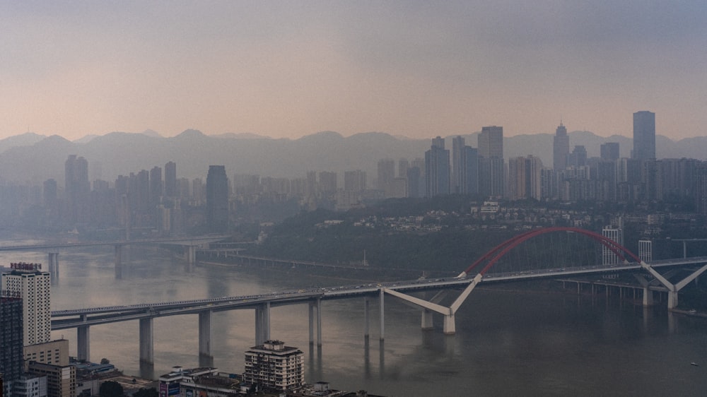 city skyline under white sky during daytime