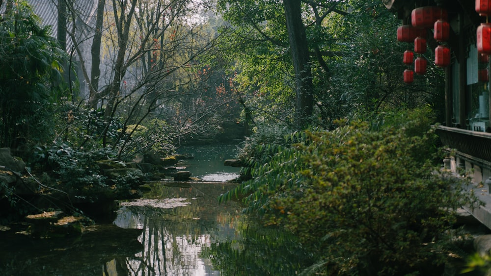 green trees beside river during daytime