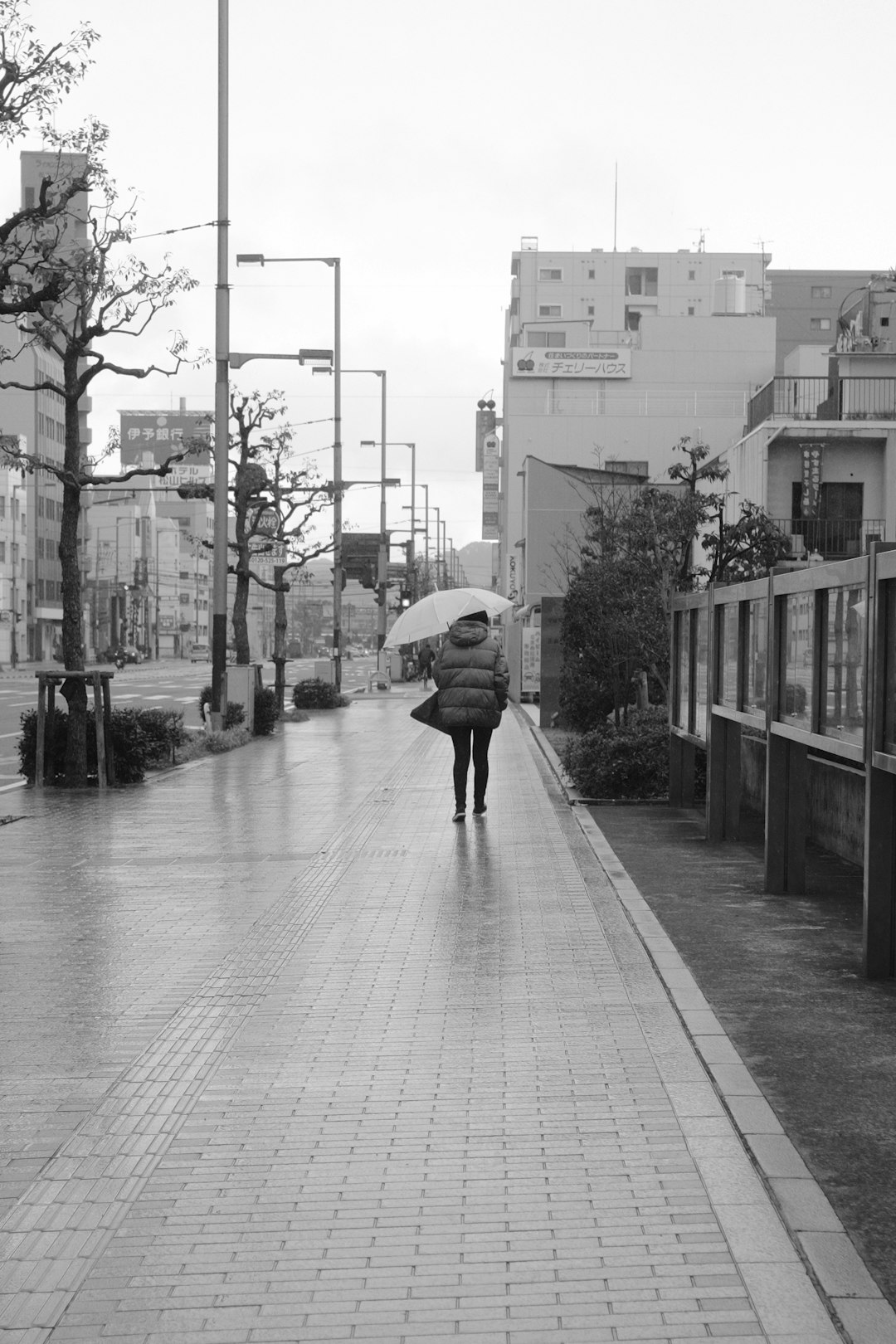 grayscale photo of person holding umbrella walking on sidewalk
