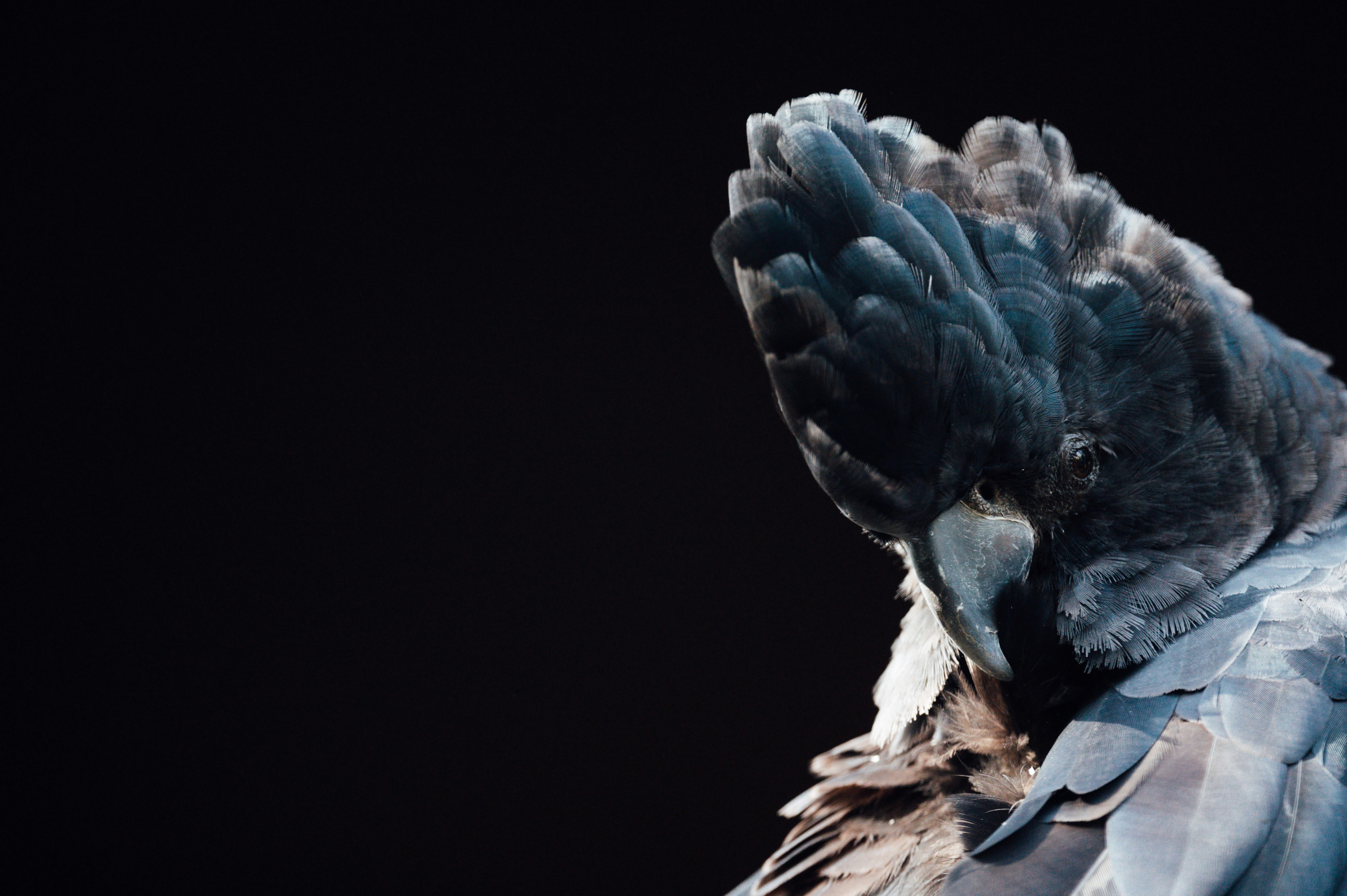 Photo by chuttersnap