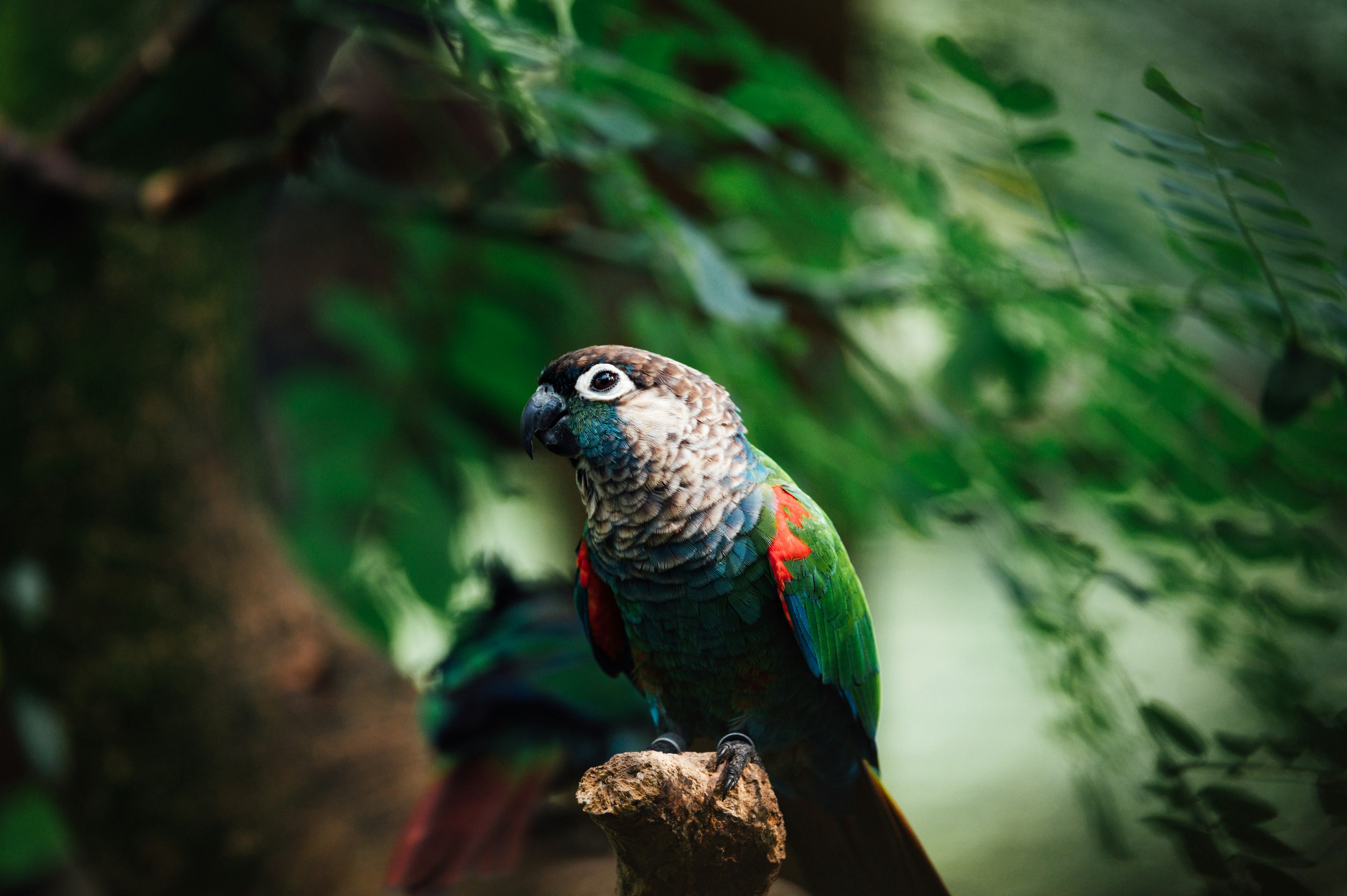 Photo by chuttersnap