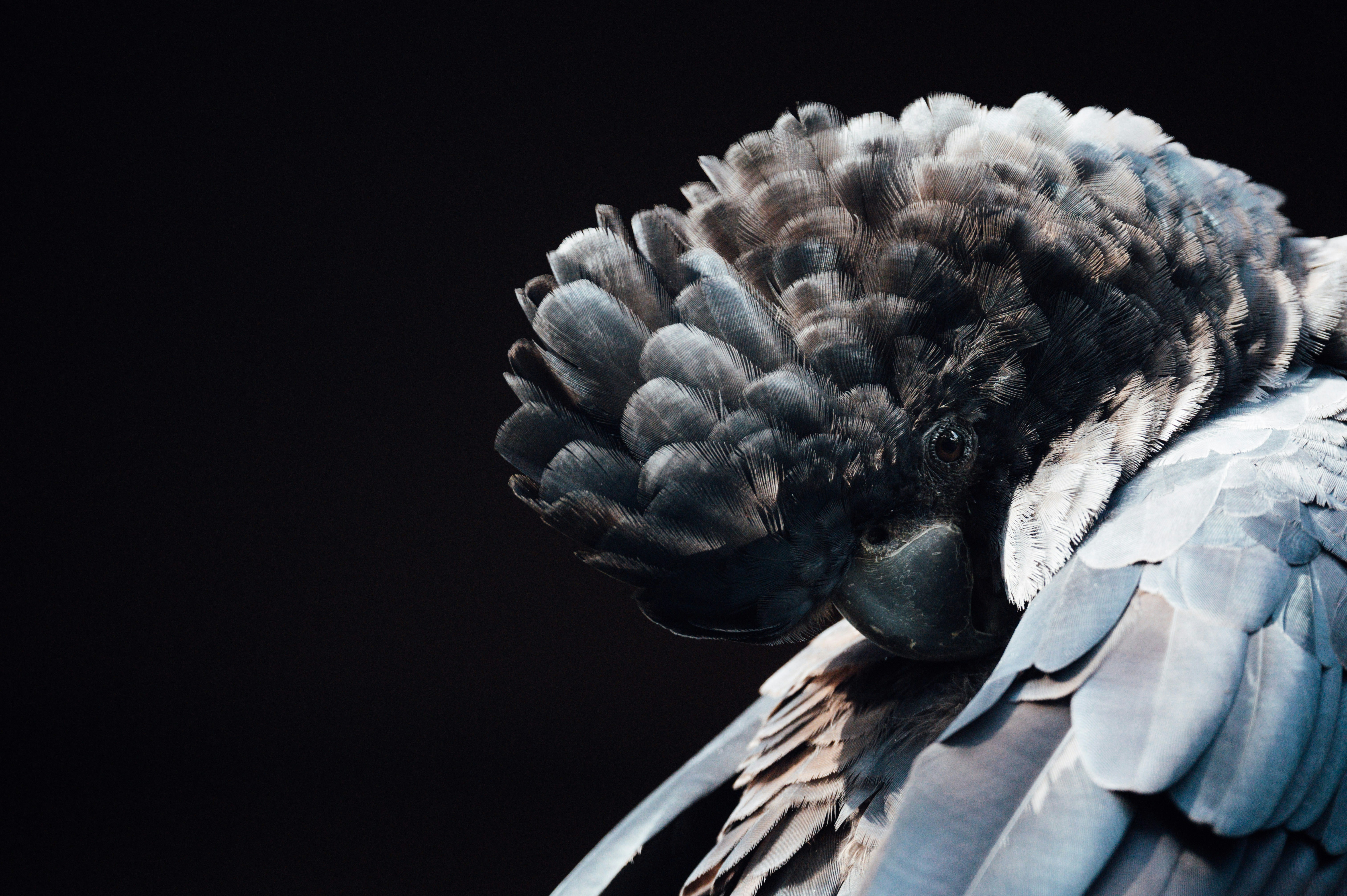 Photo by chuttersnap