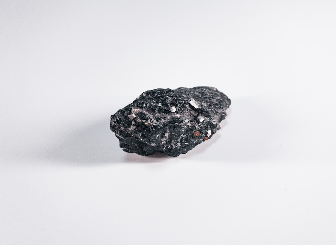 feijoa, mineral, black and white stone fragment