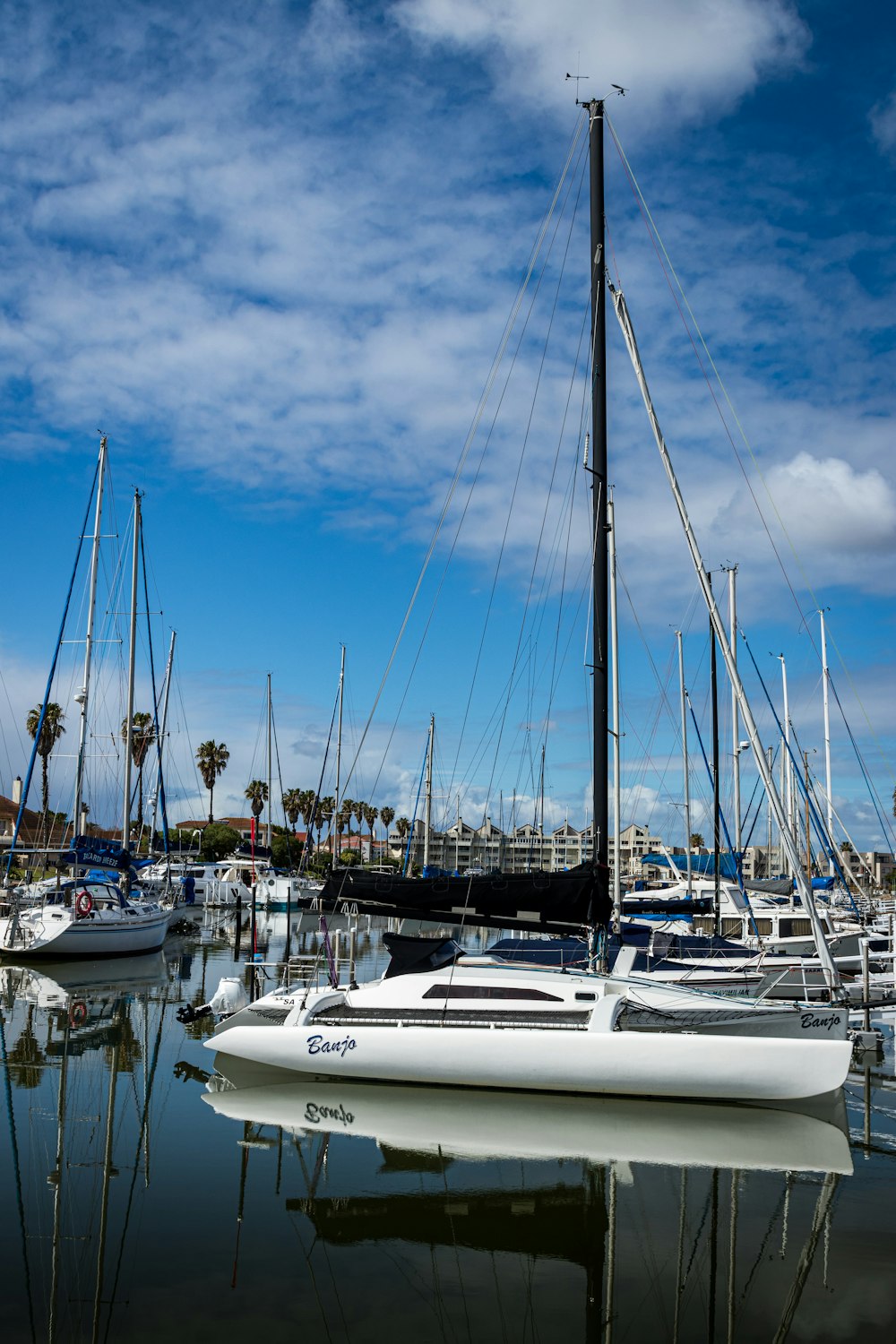white sail boats on sea dock under blue sky during daytime