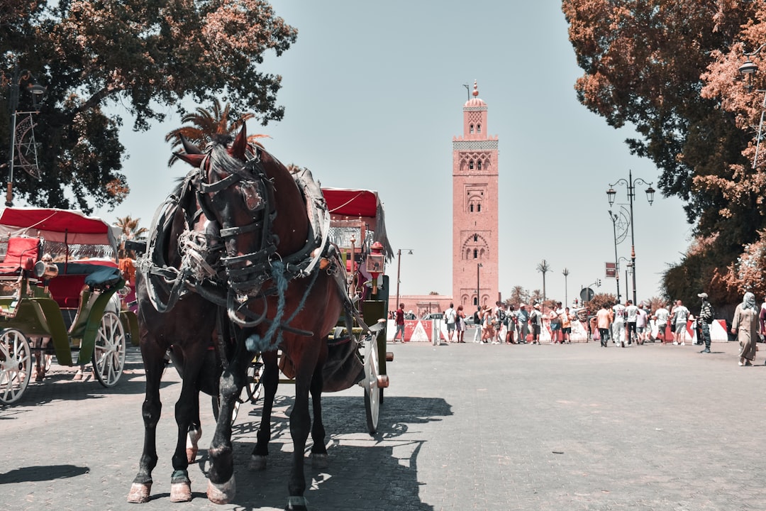 Temple photo spot Koutoubia Minaret Morocco