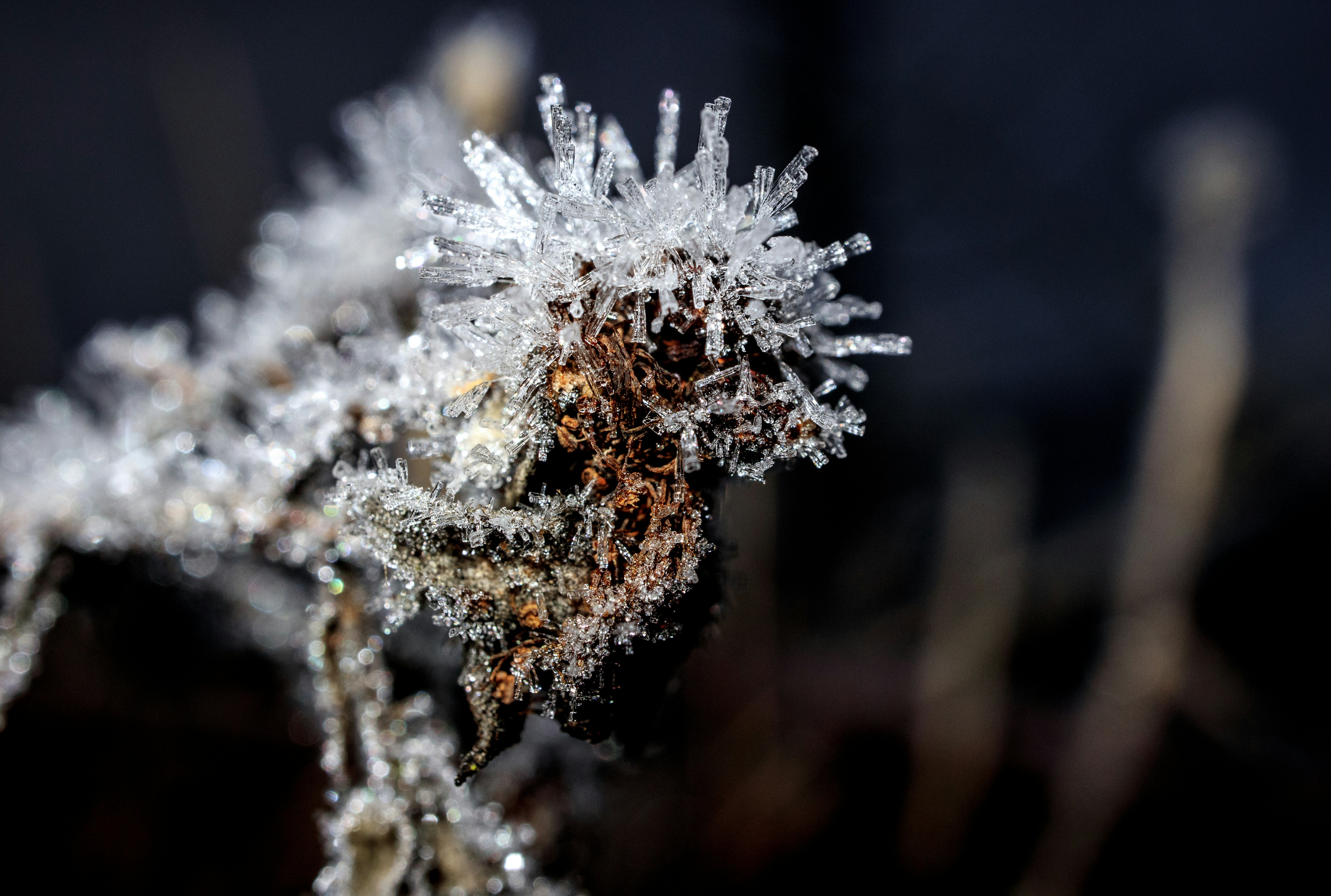 Photo by grievek1610begur