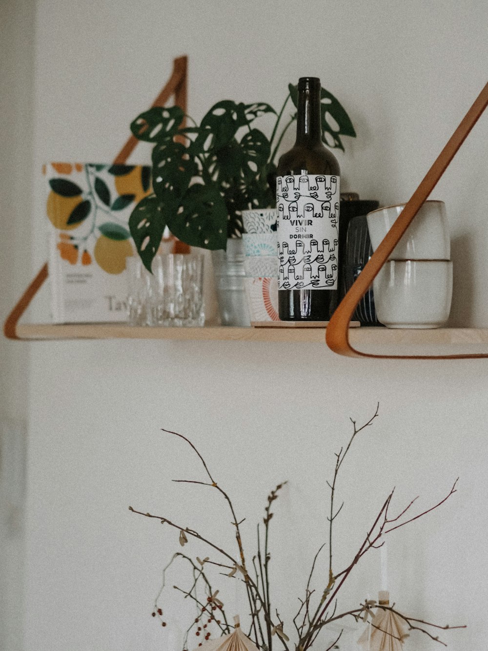 green plant on white ceramic pot