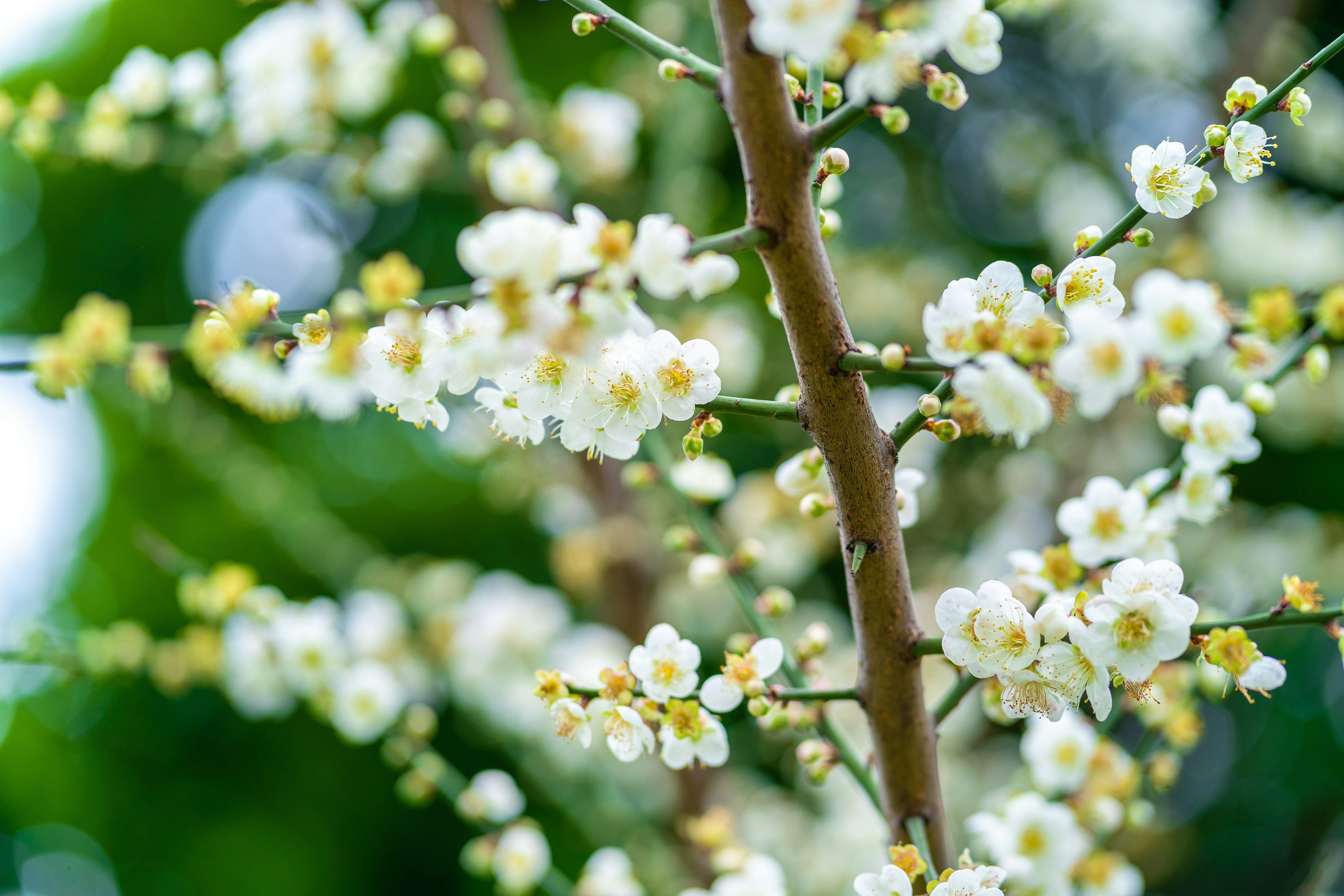 Photo by winstonchen