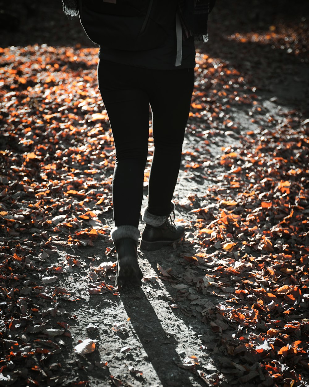 person in black pants and black shoes standing on dried leaves on ground