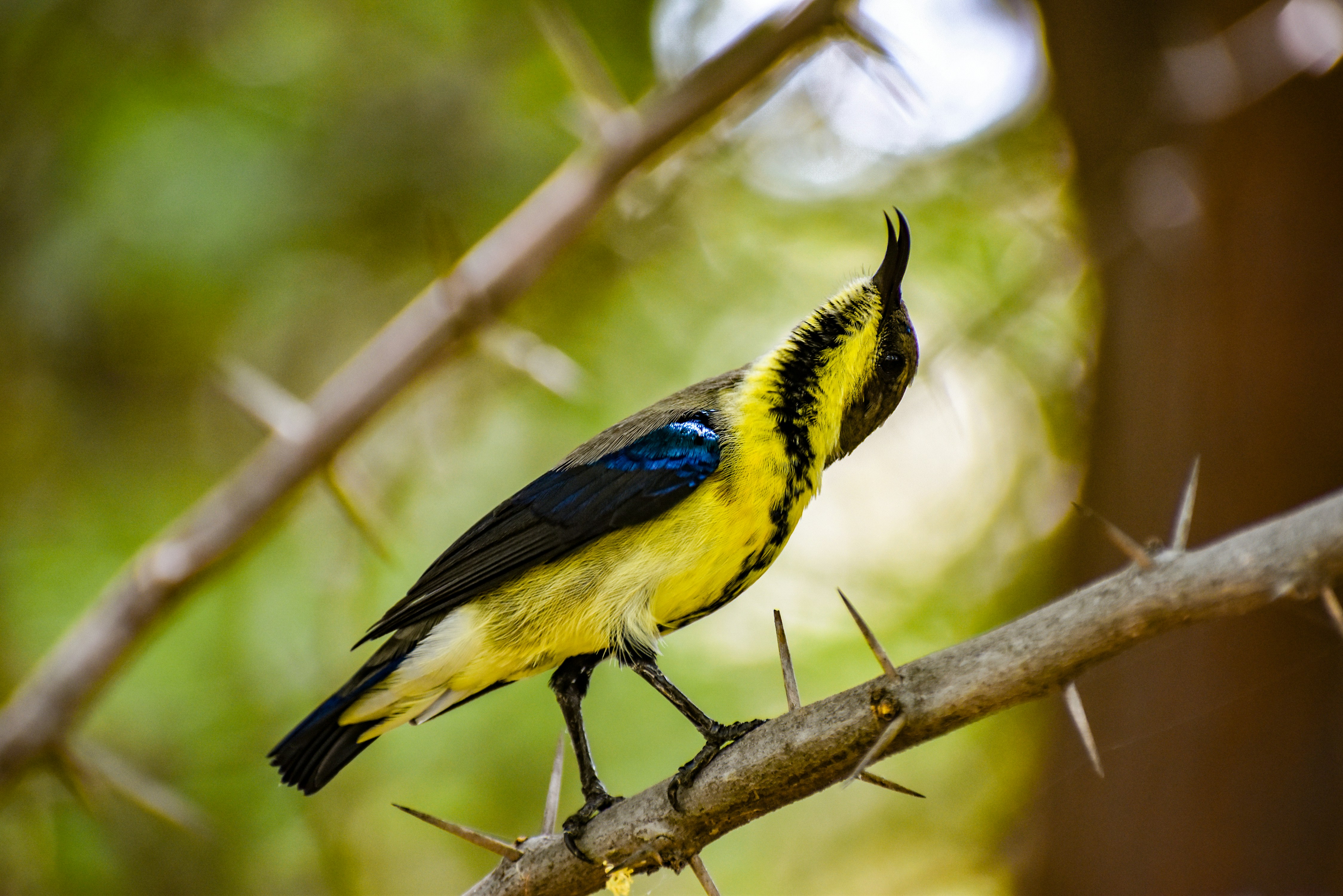 Photo by navi_photography