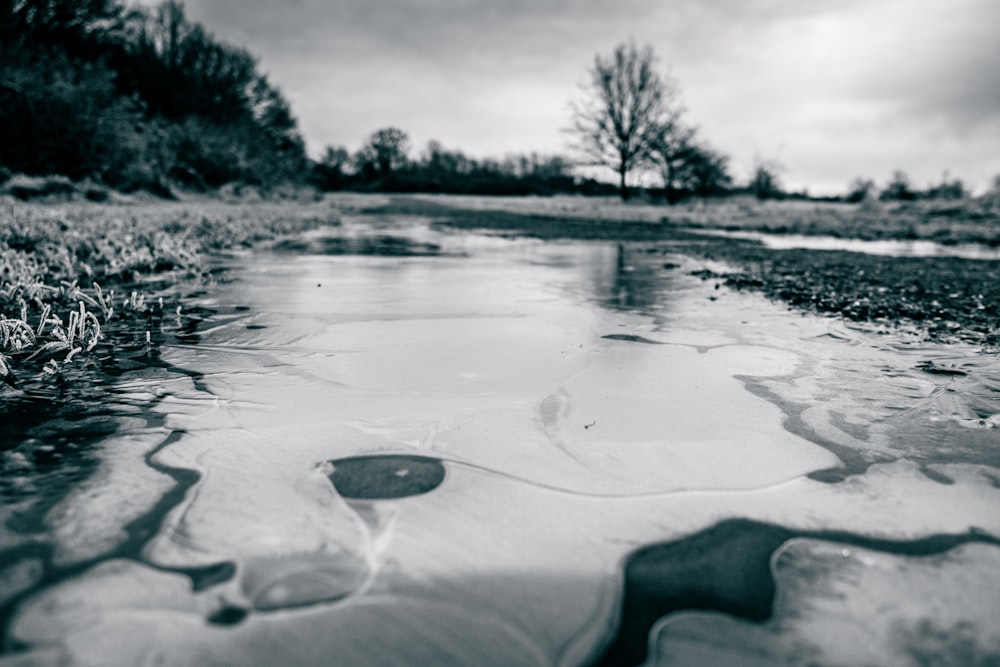 Graustufenfoto von Wasser auf Gewässern