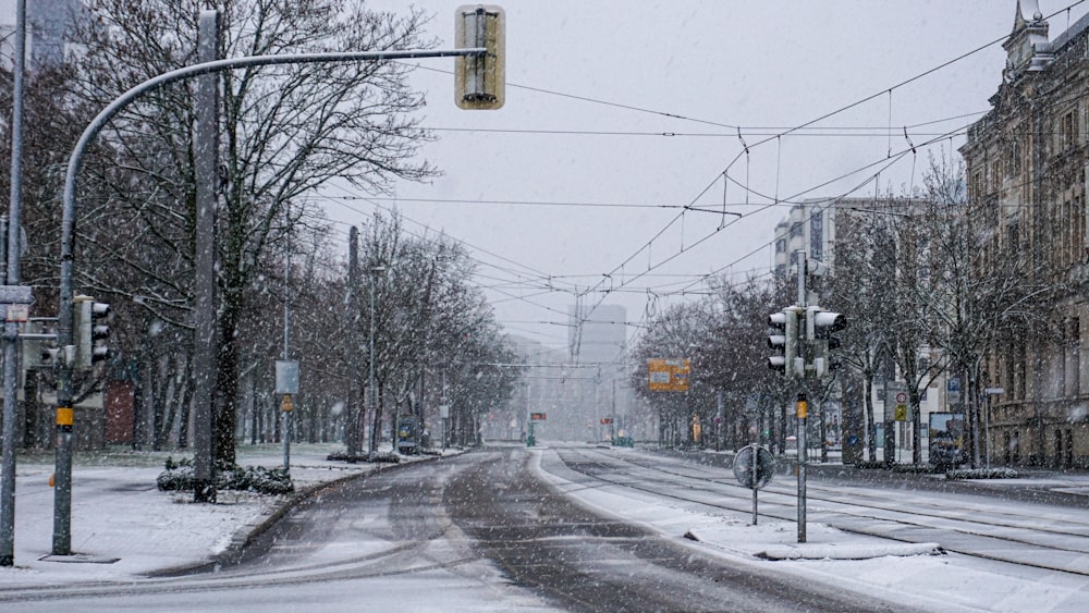 black and yellow traffic light on gray asphalt road during daytime