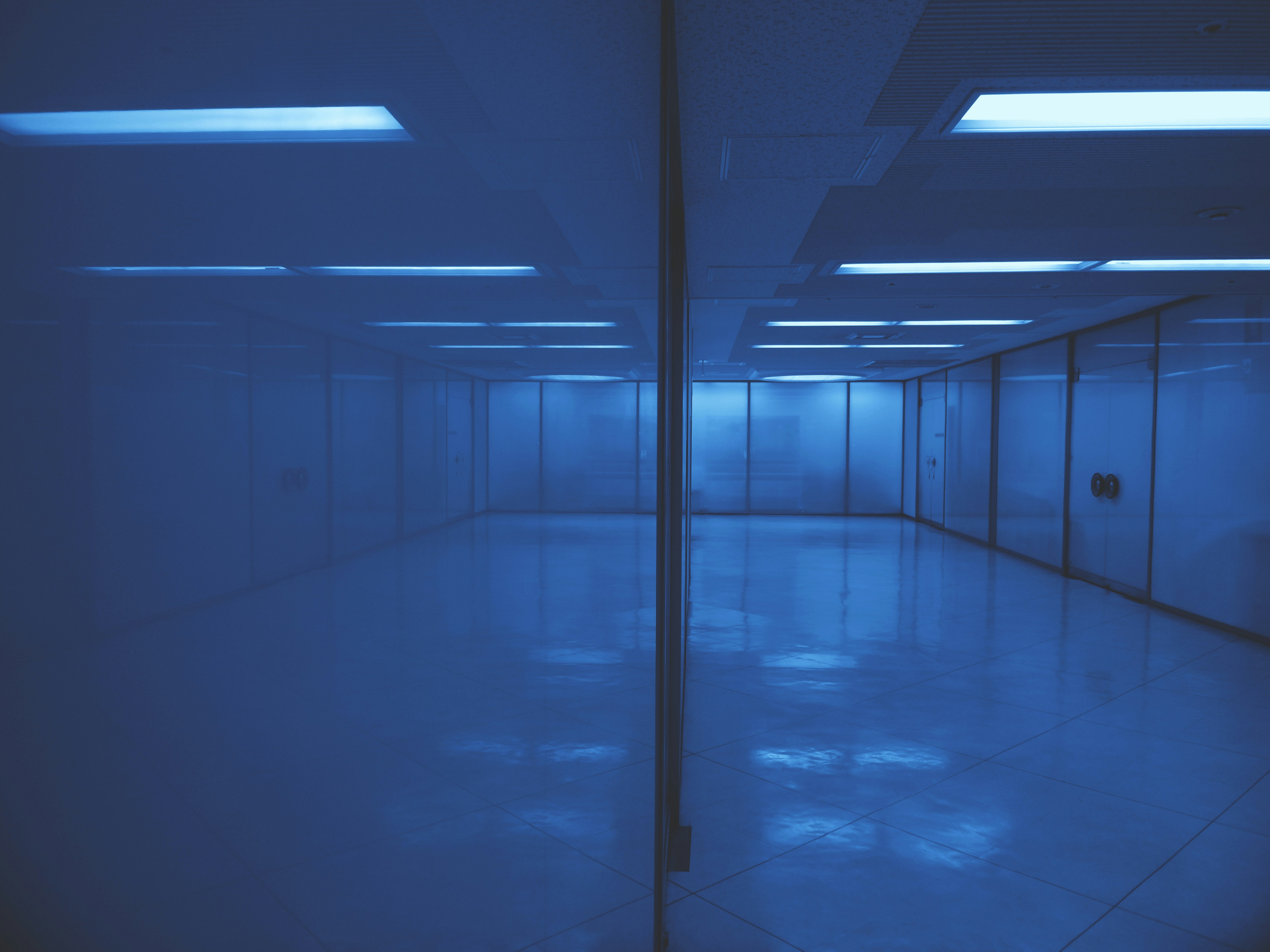 Photo by possessedphotography