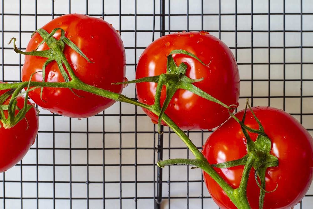 red tomato on white metal frame