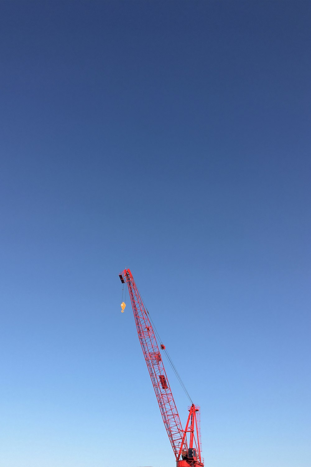 grulla naranja bajo el cielo azul durante el día