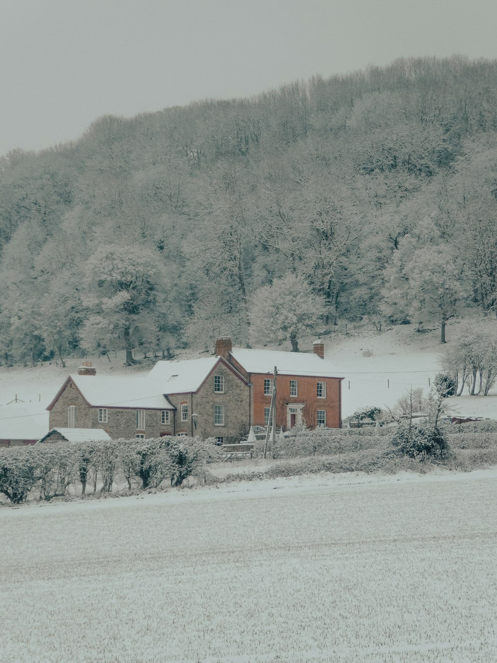 white and brown house near trees during daytime