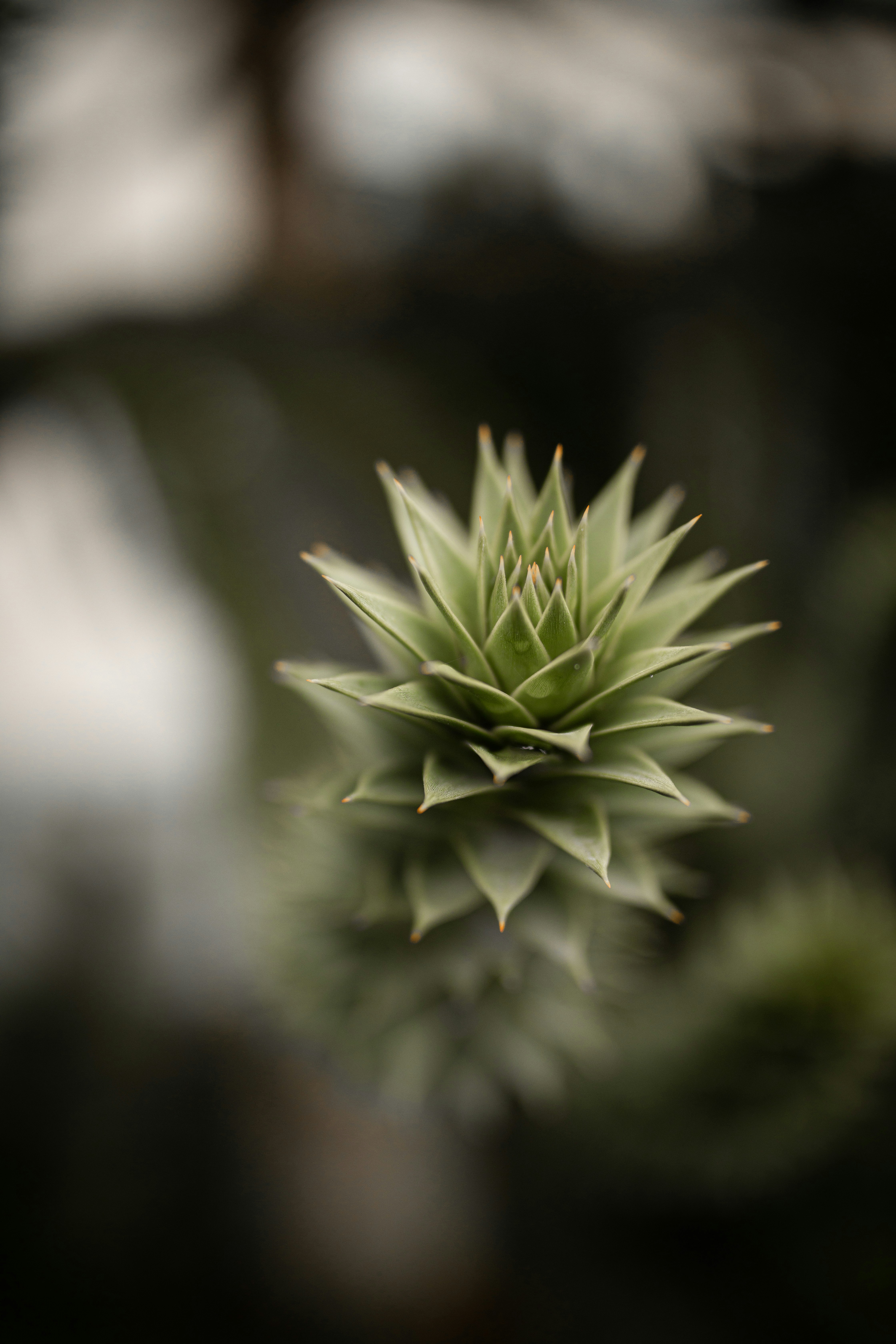 Photo by kajareichardtphotos