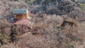 A rustic thatched-roof house is nestled among dense, leafless trees and shrubs in a mountainous region. The house appears to be elevated slightly and surrounded by nature, indicating a sense of isolation and tranquility. There is a noticeable green tree with orange flowers in the lower right side of the image, adding a dash of vibrant color to the otherwise muted landscape. Pathways cutting through the vegetation can be seen leading towards the house.