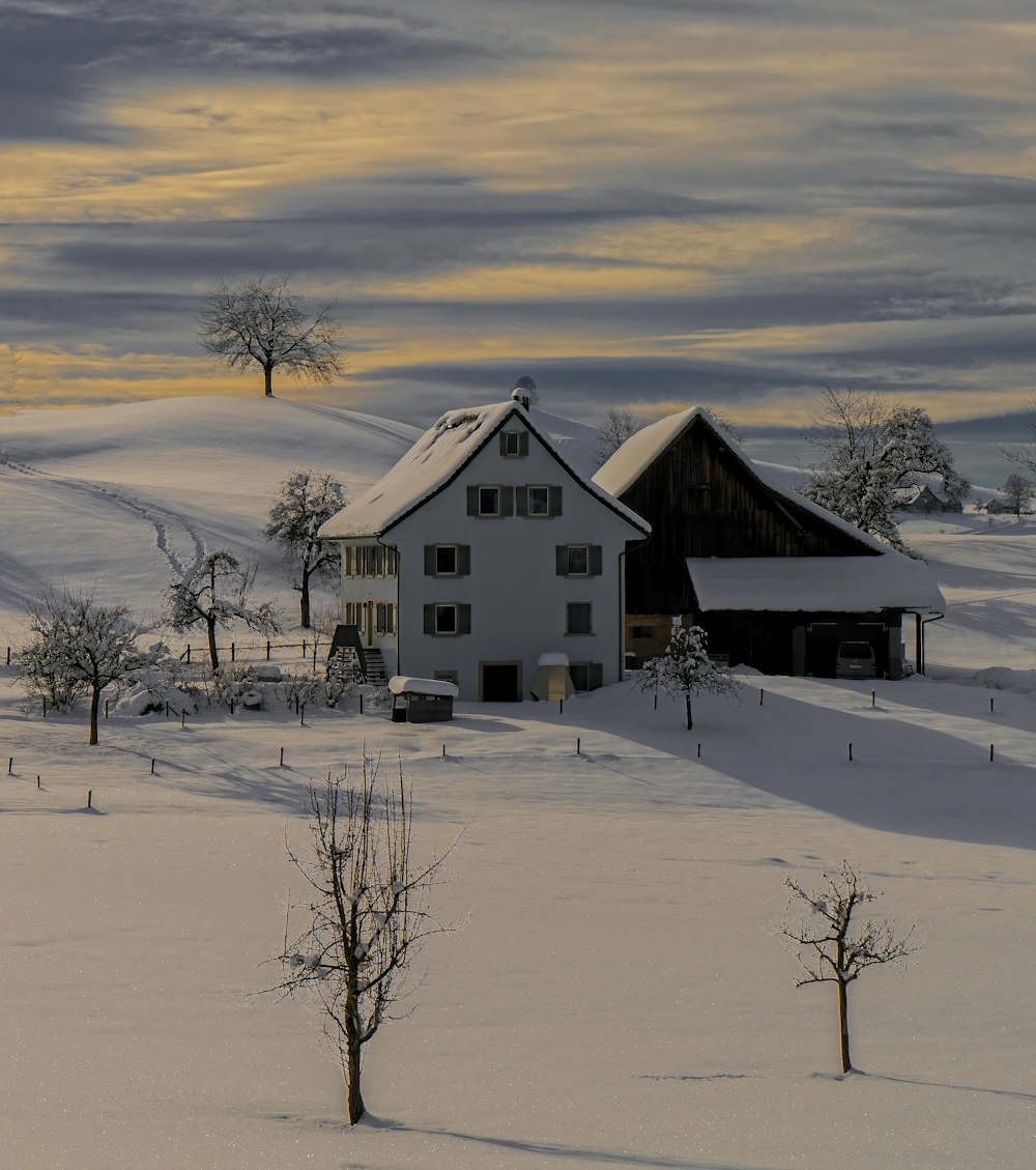 昼間の雪原に建つ茶色の木造家屋