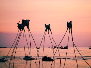 silhouette of horses on water during sunset